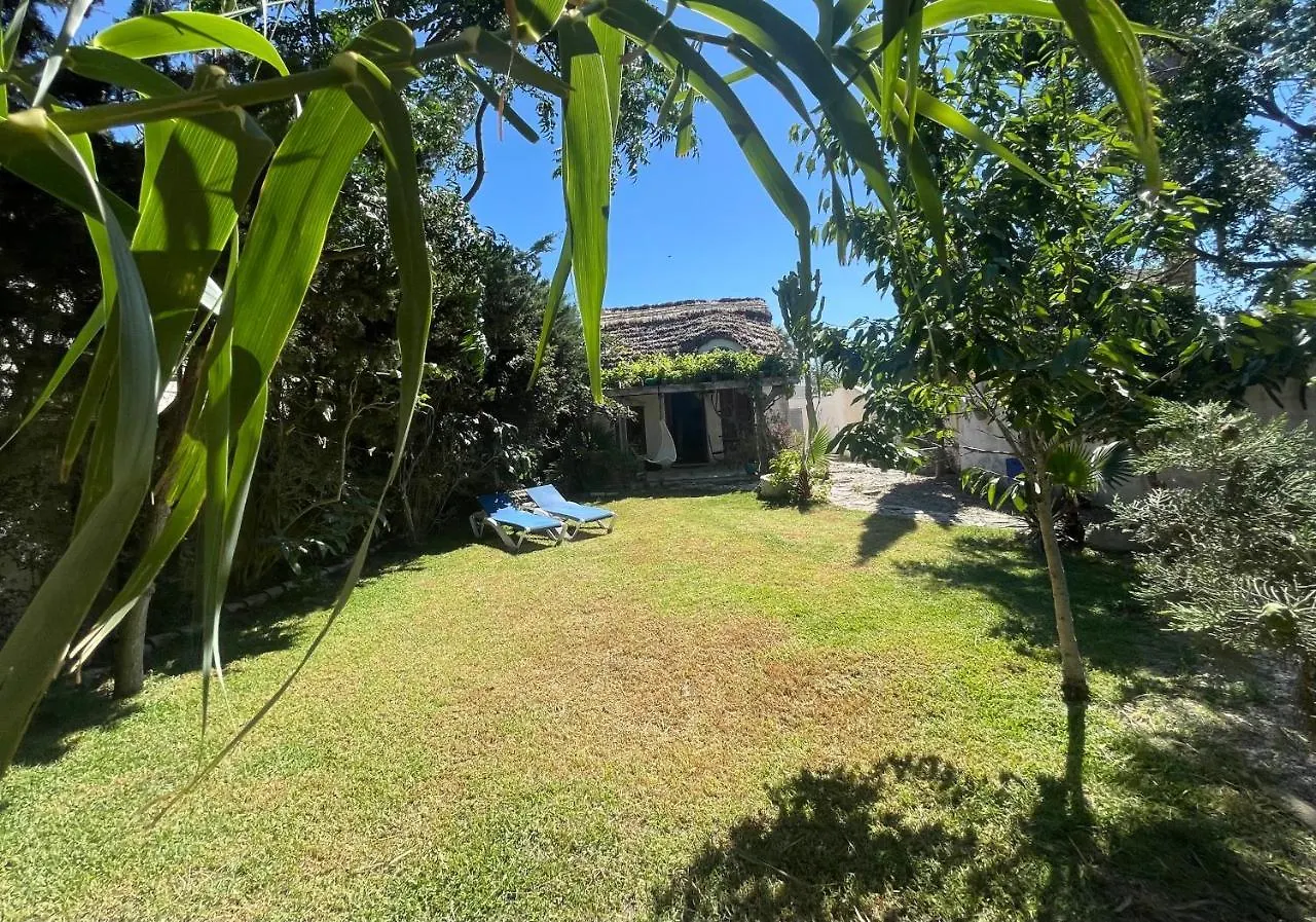 בית הארחה אל פלמאר 	Chozito De Paja A 300M. Playa Mangueta