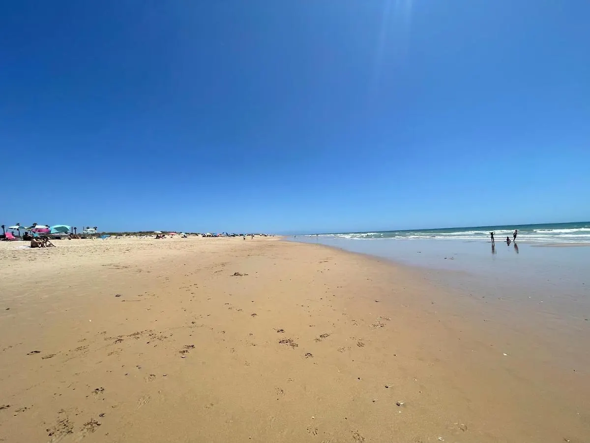 Chozito De Paja A 300M. Playa Mangueta Guest House El Palmar  Country house