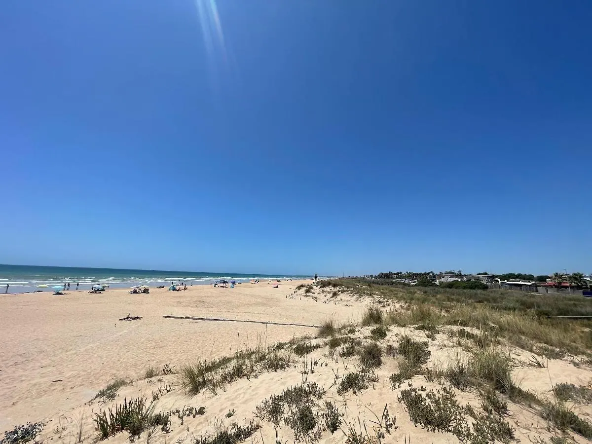 בית כפרי בית הארחה אל פלמאר 	Chozito De Paja A 300M. Playa Mangueta