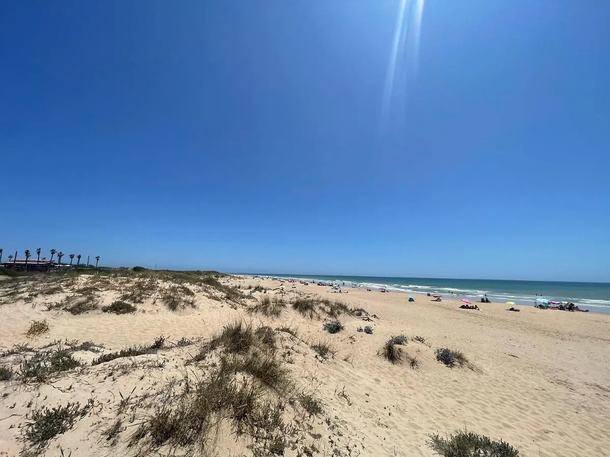 Chozito De Paja A 300M. Playa Mangueta Guest House El Palmar  Country house